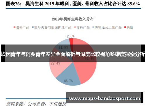 埃因青年与阿贾青年差异全面解析与深度比较视角多维度探索分析